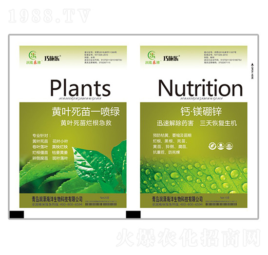 黃葉死苗一噴綠+鈣·鎂硼鋅-貝能生物