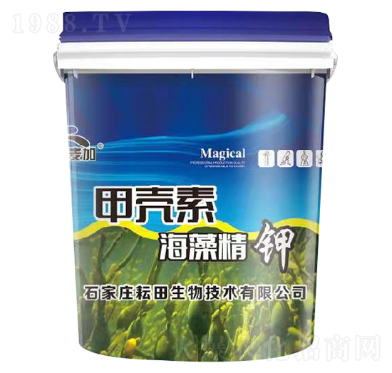 �ך��غ��徫�-�~����-��������