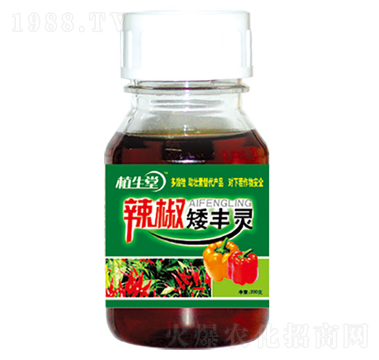 �������S�` �R������