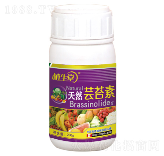 ��Ȼ�|̦�� ֲ���� �R������