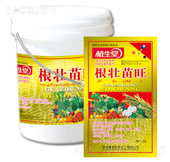 �������� �R������