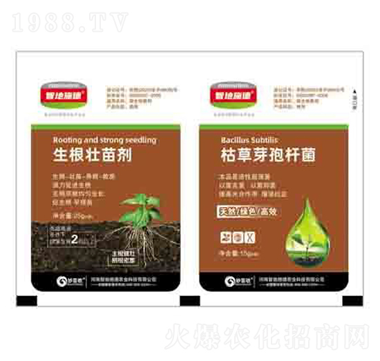 生根壯苗劑+枯草芽孢桿菌 潤澤