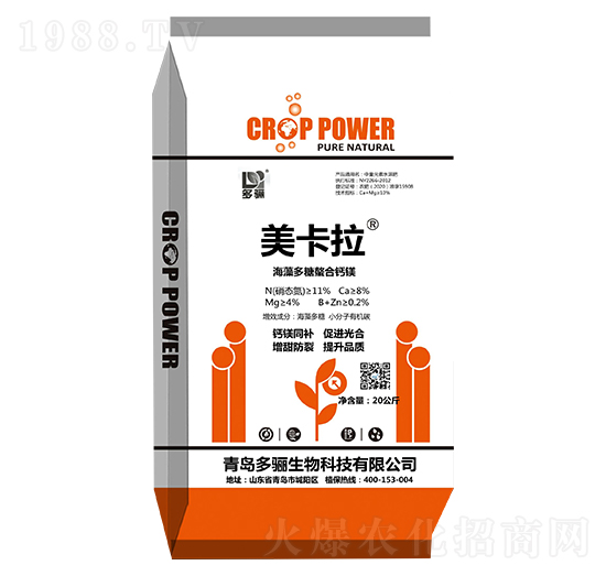 ������������}�V ������ ���P����