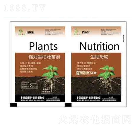 �����������焩+����ĸ�� ����