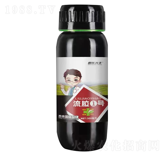 ���z1̖ �������� ̩����H