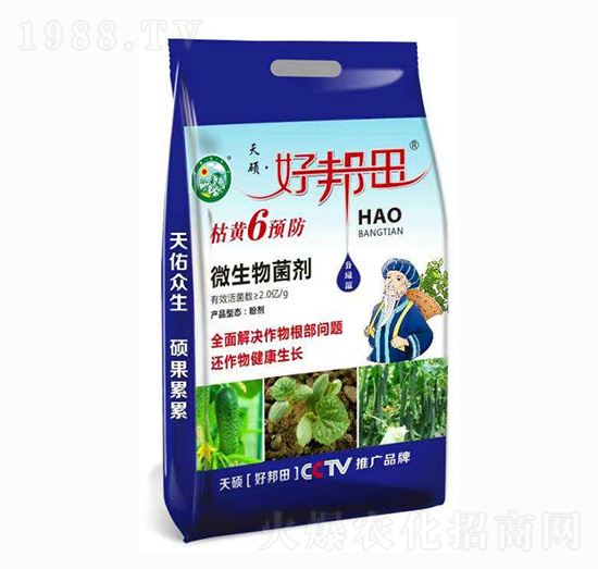 枯黃6預(yù)防 好邦田 天碩