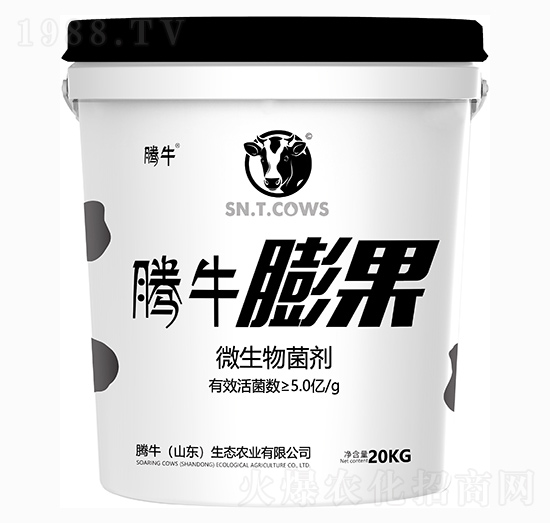 ΢�������-���1̖-�vţ