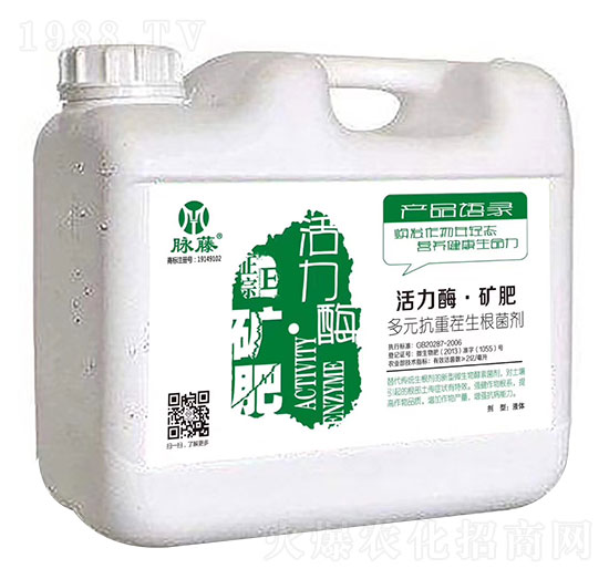 ����ø���V��-�ŵ�����