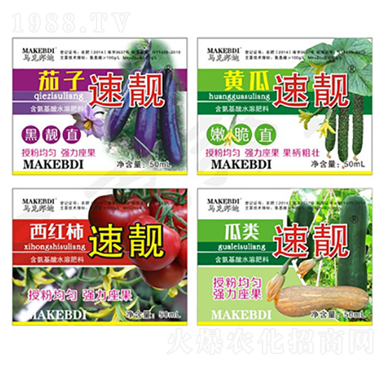 �����S�����t��������n-�R�˰��