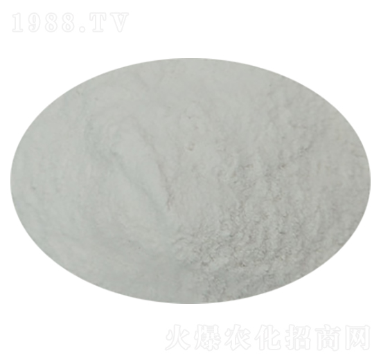 �ۄ���ȩ��ጵ��� ¡��Դ����