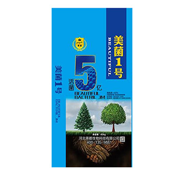 ����1̖ Ӣ������1