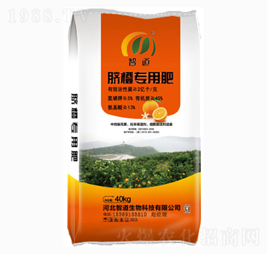 Ě�Ȍ��÷�-�ǵ�