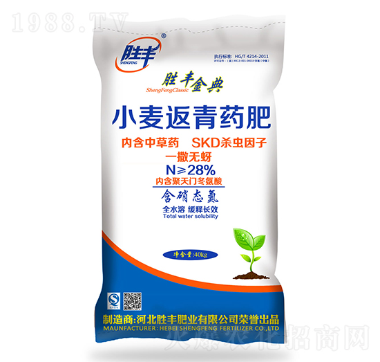 С������ˎ��-���S���-���S�ʘI(y��)