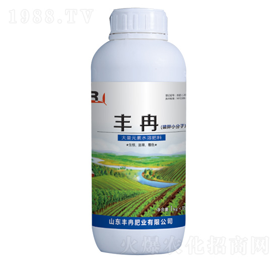 ���С�������w�� �SȽ�ʘI(y��)