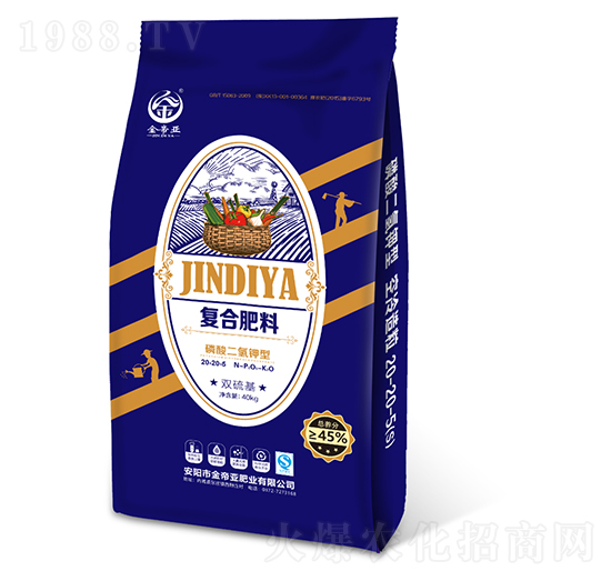 �p������������͏ͺϷ���20-20-5-��ہ�