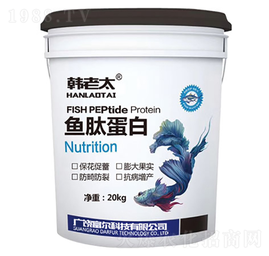 �~�ĵ���-�n��̫-�����Ƽ�