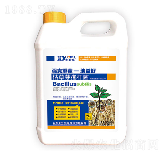 �ݲ�ѿ�ߗU��-�����Ƽ�