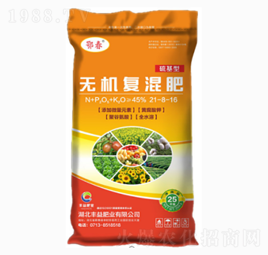 ����͟o�C(j��)��(f��)���21-8-16-�S��ʘI(y��)