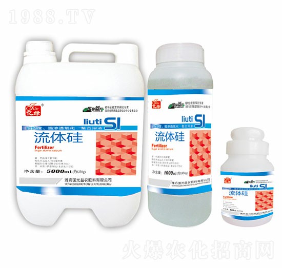 流體硅-國光益農