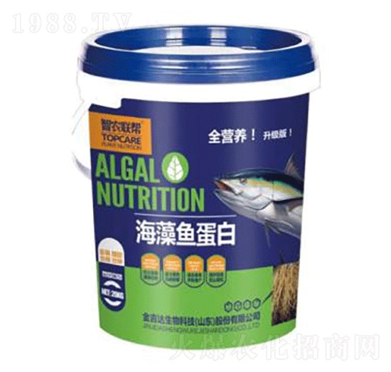海藻魚蛋白（桶）-金吉達