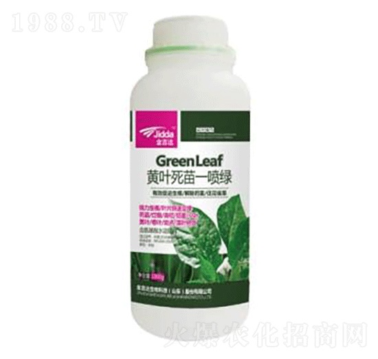 黃葉死苗一噴綠-金吉達