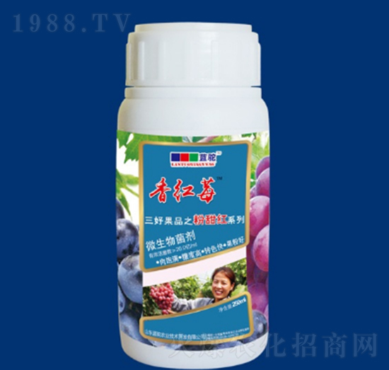 ΢�������-��tݮ��-�{��r(n��ng)�I(y��)