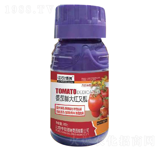 番茄膨大紅又靚-金億豐