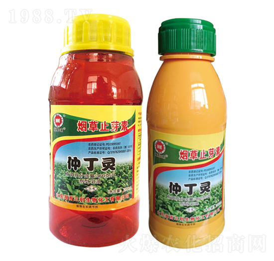 �ٶ��`-����ֹѿ��-��������