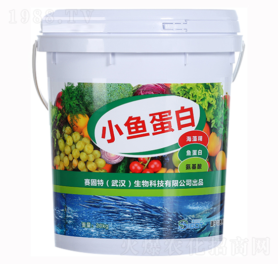 С�~����-ِ����