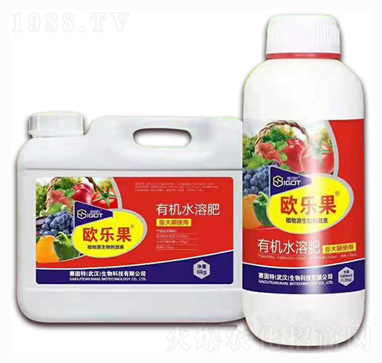 С���������ÚW����-ِ����