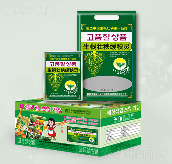 生根壯秧緩秧靈-晶園肥料