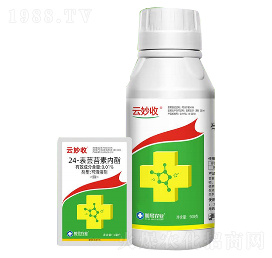 24-表蕓苔素內酯-云妙收-加號農業(yè)