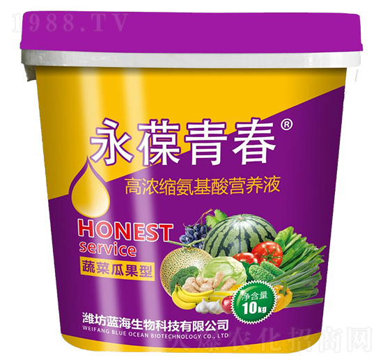 �߲˹Ϲ��͸ߝ�s������I�B(y��ng)Һ-�����ഺ-�{(l��n)������