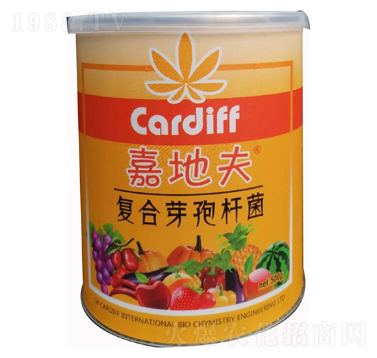 ��(f��)��ѿ�ߗU��-�εط�