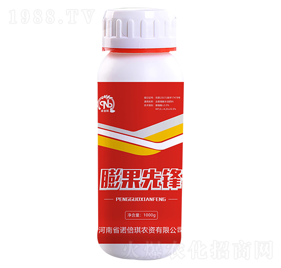 膨果先鋒-諾倍琪