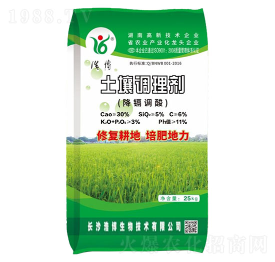 �����{�턩-�Ʋ�����