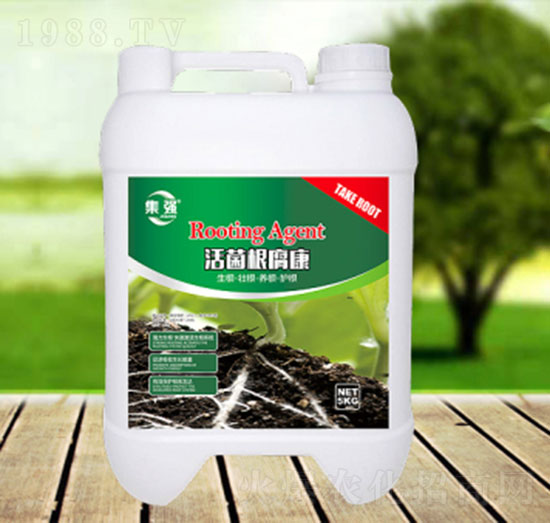 ���������-�\(ch��ng)�����Q(m��o)��