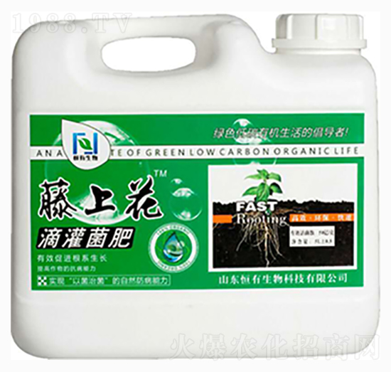 5L�ι����-���ϻ�-��������