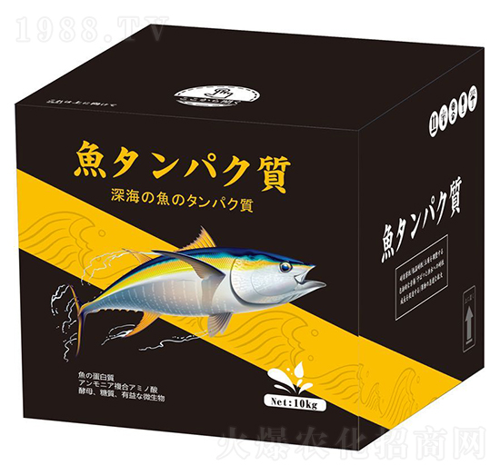 С�����~(y��)���ף��ڣ�-������