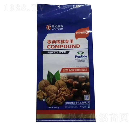 �������Ҍ�(zhu��n)�Ï�(f��)�Ϸ���-Ҽ���μ�