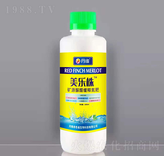 �VԴ��ȩ��ጵ���-������-��ȸ