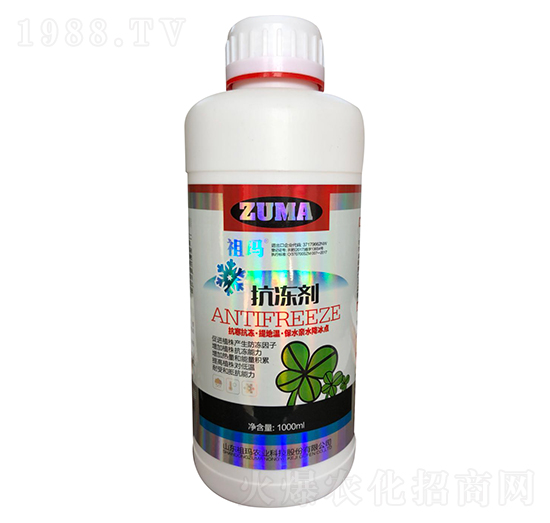 ������-�欔-�ʰl(f��)����