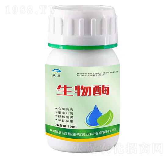 ����ø-�������B(t��i)