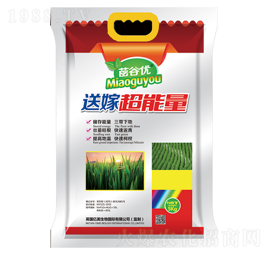 ��ȃ�(y��u)�ͼ޳�����-�|������