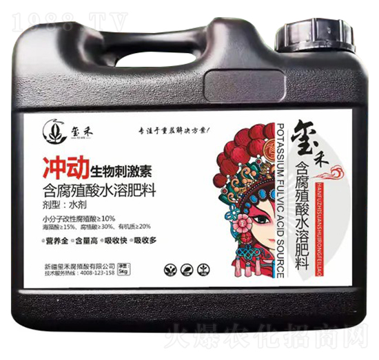 �_������̼���-�t��