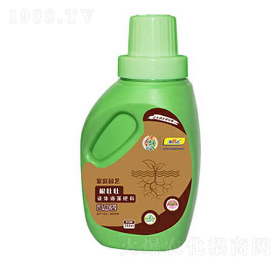 ���щ�-��������