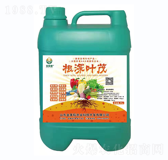 �����~ï-������