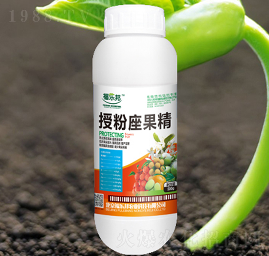 500g�ڷ�������-������