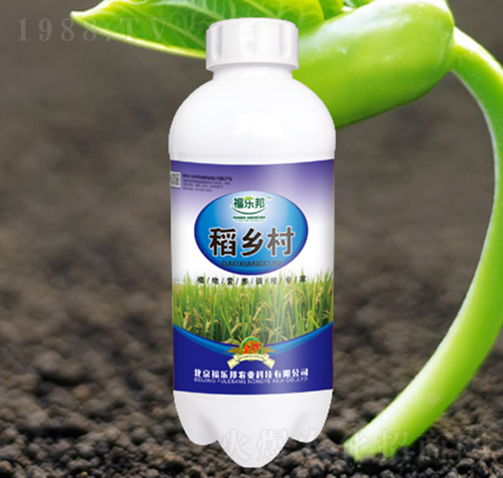 ���l(xi��ng)��-����(l��)��