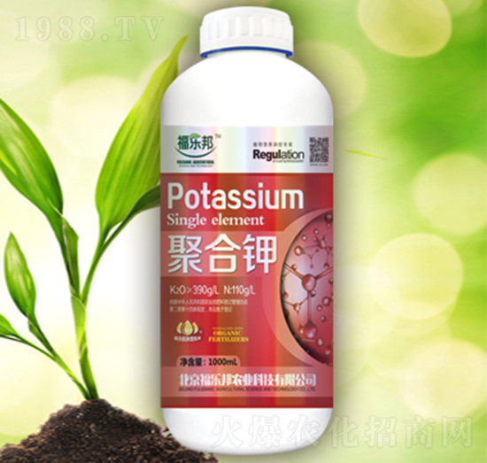 �ۺ��-������